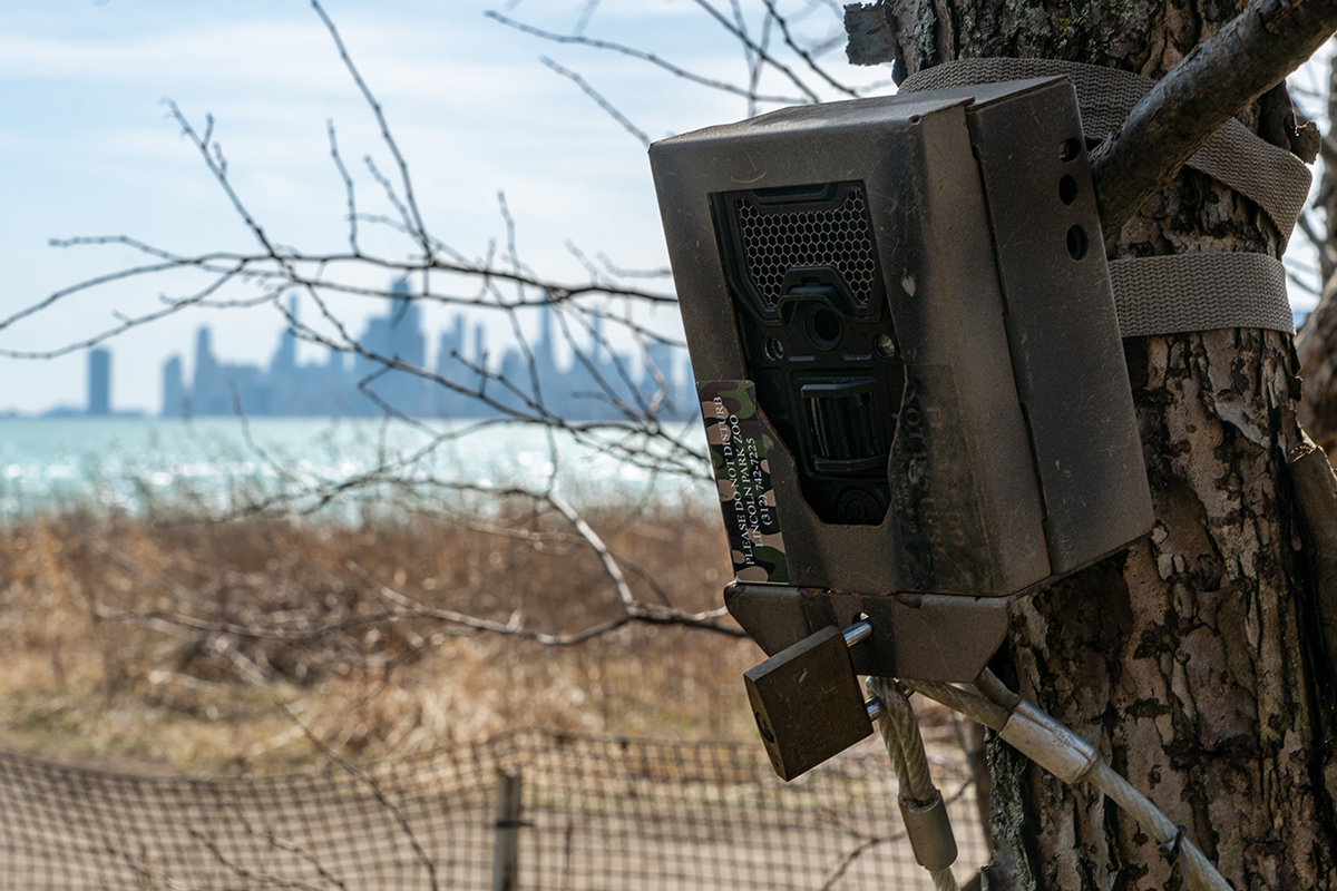 Close-up shot of a camera placed by Seth Magle and his team in order to find animals in locations.