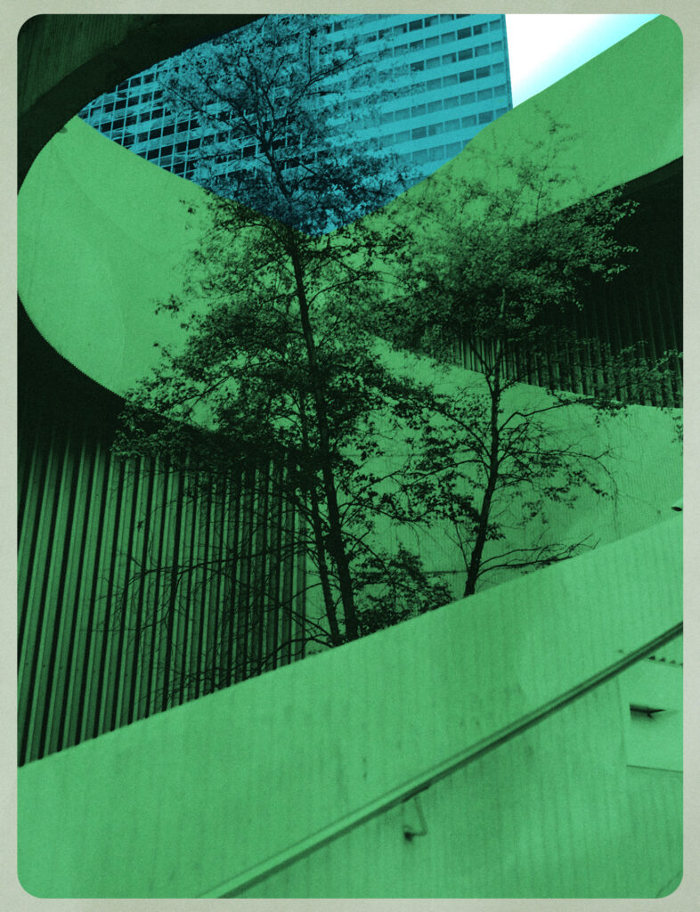 Tree in Building - About Shape of the World Show Podcast